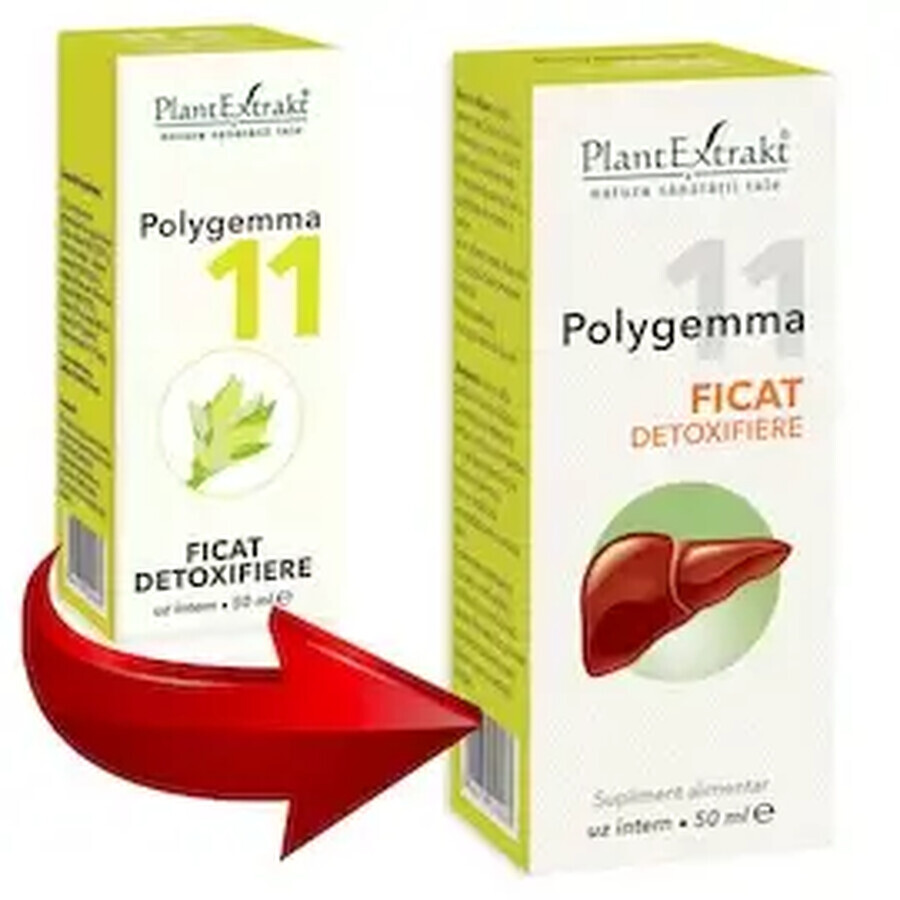 Polygemma 11 Ficat detoxifiere, 50 ml, PlantExtrakt