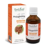 Polygemma 15, Darm detox, 50 ml, Plantenextrakt