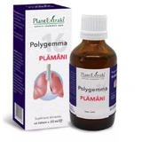 Polygemma 16, Long, 50 ml, Plantenextrakt