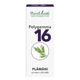 Polygemma 16, Long, 50 ml, Plantenextrakt