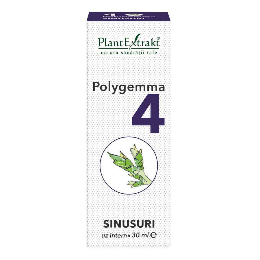 Polygemma 4, Sinusuri, 30 ml, Plant Extrakt