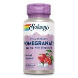 Solaray Pomegranate, 60 capsules, Secom