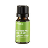 RAVINTSARA (HO LEAF), essential oil (cinnamomum camphora), 10 ml, Sabio