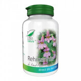 Rehmannia, 60 capsule, Pro Natura