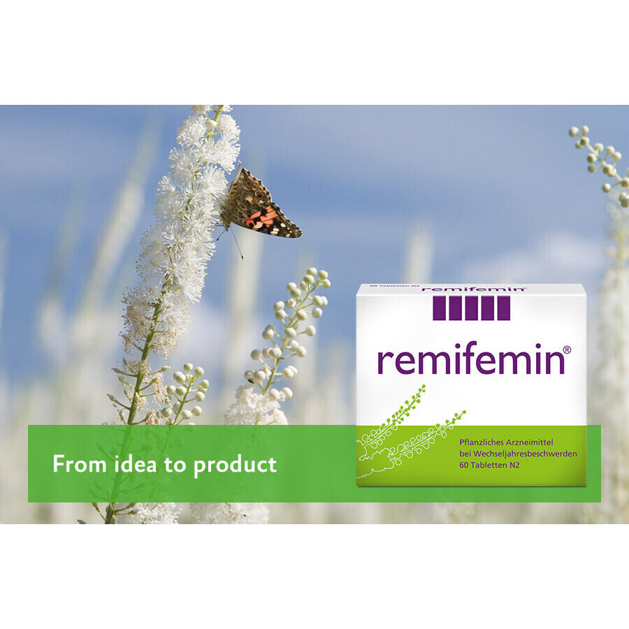 Remifemin, 60 Tabletten, Schaper & Brummer