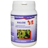 Salice, 40 capsule, Favisan