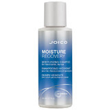 Vochtherstellende Shampoo JO2564531, 50ml, Joico