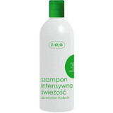 Champú para cabello graso con menta, octopirox y ortiga, 400 ml, Ziaja