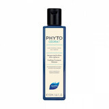 Purifying shampoo for oily scalp Phytocedrat, 250 ml, Phyto