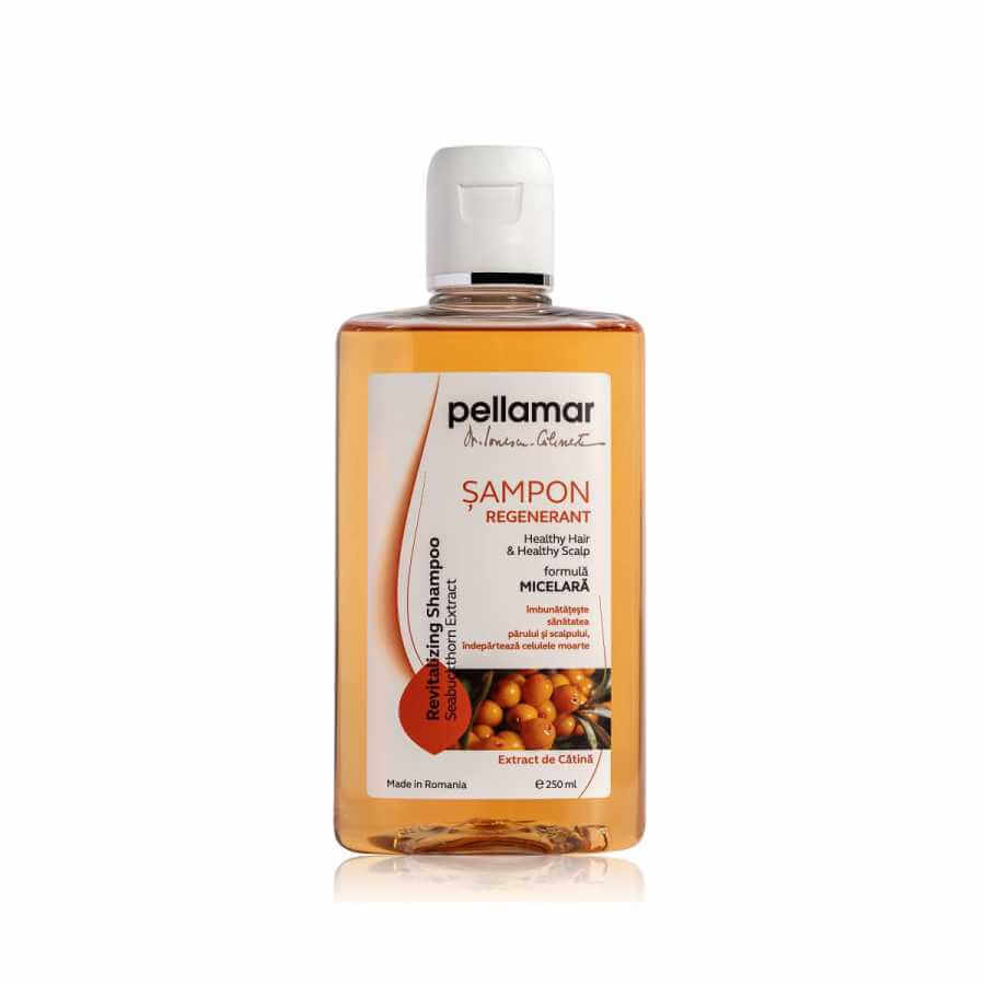 Beauty Shampoo rigenerante per capelli con estratto di olivello spinoso, 250 ml, Pellamar