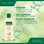 Regenerating shampoo with keratin Gerovital Expert Treatment, 250 ml, Farmec