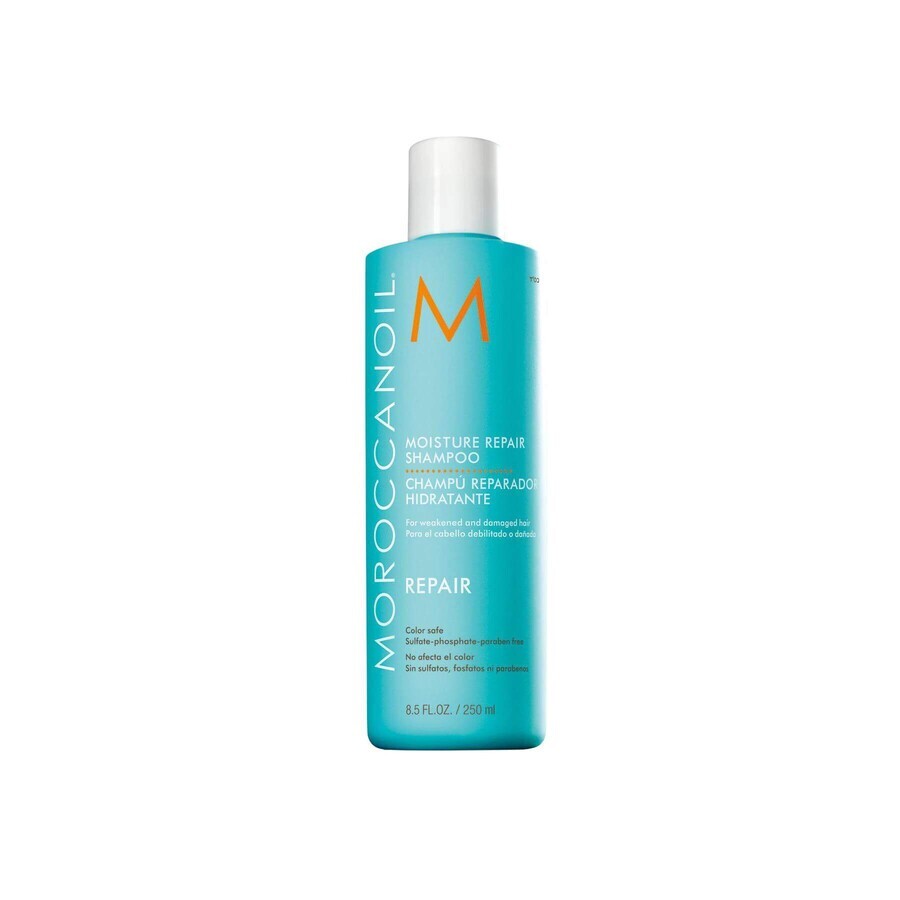 Hydraterende herstellende shampoo voor verzwakt en beschadigd haar, 250 ml, Moroccanoil