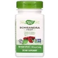 Schizandravrucht Natures Way, 100 capsules, 580 mg, Secom