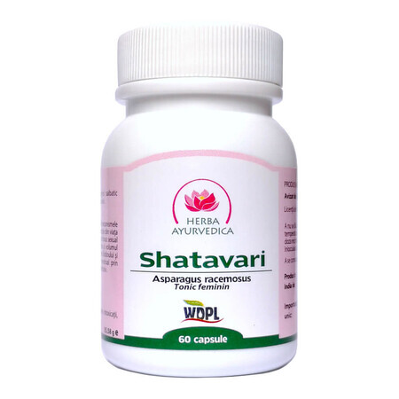 Shatavari, 60 capsules, Ayurvedic Herb