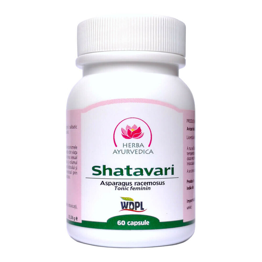 Shatavari, 60 capsules, Ayurvedic Herb