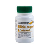 Silicium organique et calcium corallien, 60 gélules, Pro Natura