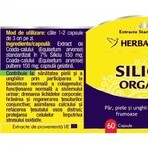 Siliciu Organic, 120 capsule, Herbagetica