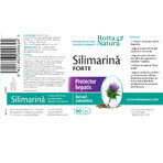 Silymarine Forte, 90 capsules, Rotta Natura