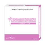 Softigyn, 6 capsules vaginales, Solartium Group