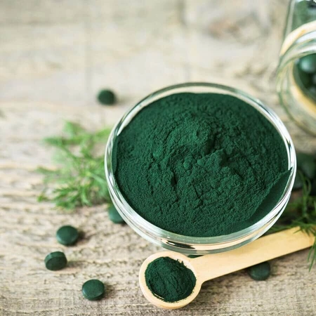 Spirulina 1000 mg, 40 Tabletten, Hofigal