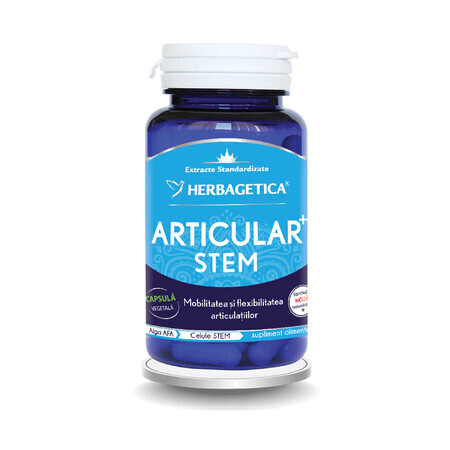 Articular Stem, 60 capsules, Herbagetica