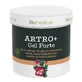 Strong Arthro Gel with devil's claw extract, willow, earth butter, camphor and methyl salicylate, 250 ml, Biomedicus