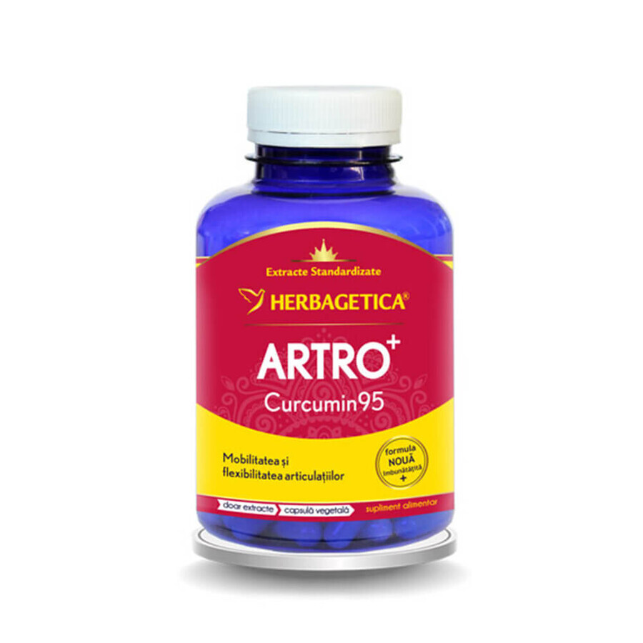 Arthro+ Curcumin95, 120 Kapseln, Herbagetica