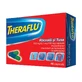 Theraflu Cold and Cough 500 mg/6.1 mg/100 mg, 16 capsules, Gsk