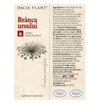 Tintura di Brânca Ursului, 50 ml, Dacia Plant 