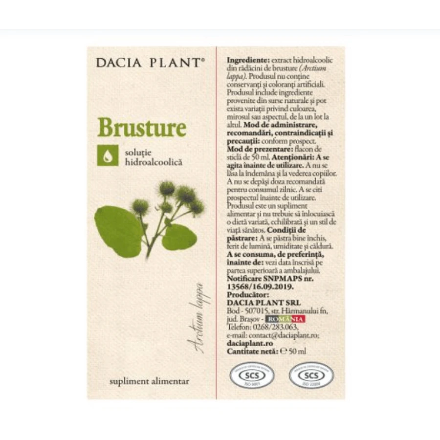 Teinture de Bardane, 50 ml, Plante Dacia