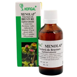 Burdock Tincture, 50 ml, Hofigal
