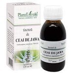 Tinctură de Ceai de Jawa, 120 ml, Plant Extrakt