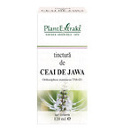 Tinctură de Ceai de Jawa, 120 ml, Plant Extrakt