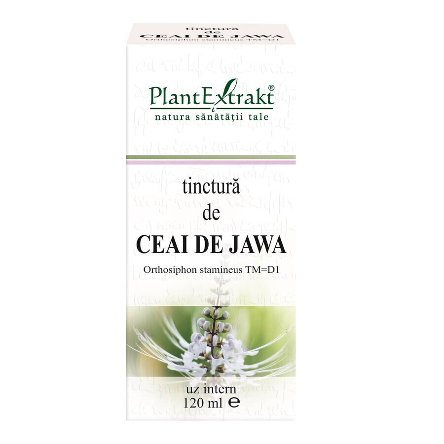 Teinture de thé Jawa, 120 ml, Plant Extrakt