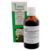 Mousetail Tincture, 50 ml, Hofigal