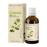 Tincture of Cretisoara, 50 ml, Dacia Plant