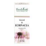 Tinctură de Echinacea, 50 ml, Plant Extrakt