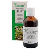 Ghimpe tincture, 50 ml, Hofigal