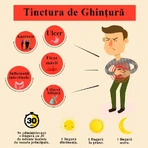 Gintura tincture, 500 ml, Aroma Plant