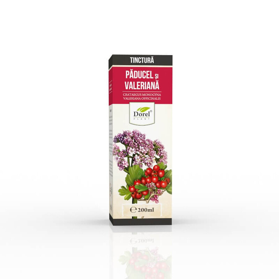 Vlierbessen- en valeriaantinctuur, 200 ml, Dorel Plant