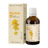 Tincture of Sânziene, 50 ml, Dacia Plant