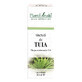 Tuia Tinctuur, 30 ml, Plant Extrakt