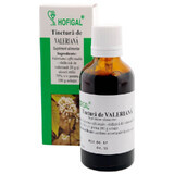 Tintura di valeriana, 50 ml, Hofigal