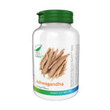 Ashwagandha, 40 capsules, Pro Natura