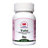 Tulsi, 60 capsule, Herba Ayurvedica