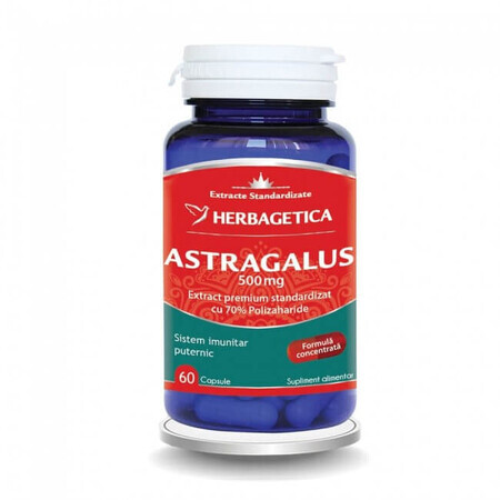 Astragalus 500 mg, 60 capsule, Herbagetica 