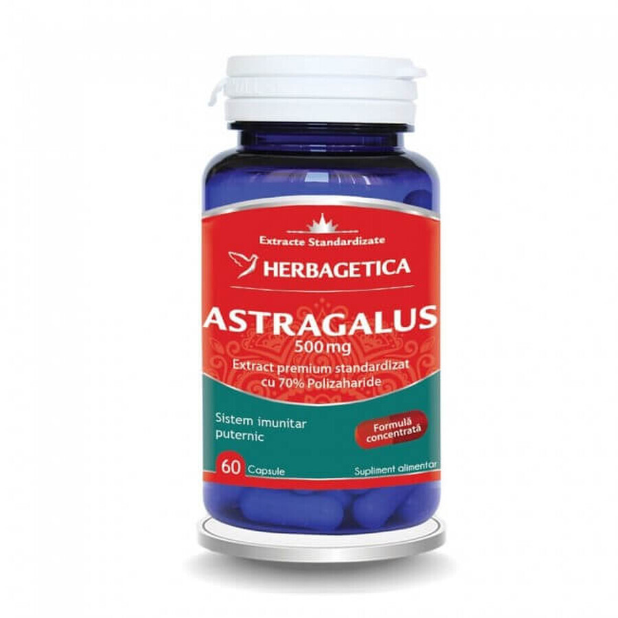 Astragalus 500 mg, 60 capsule, Herbagetica 