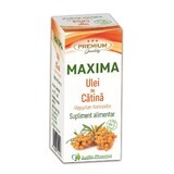 Catina Maxima Olie, 100 ml, Justin Pharma