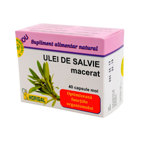 Macérat huileux de sauge 500 mg, 40 gélules, Hofigal