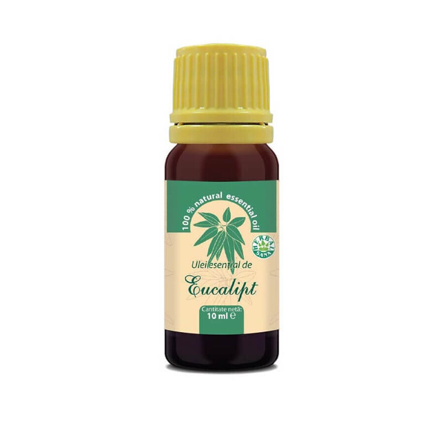 Huile essentielle d'eucalyptus, 10 ml, Herbavit